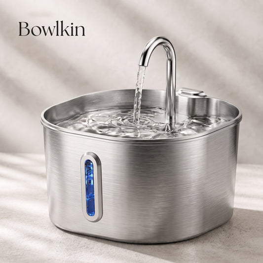 Bowlkin stainless steel water fountain with a curved faucet and running water, shown on a light beige surface with soft shadows. The Bowlkin brand name is visible in the top left corner.